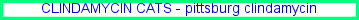 Clindamycin phosphate 1